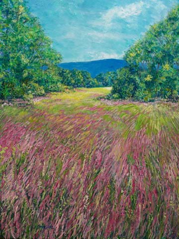 Bucks County meadow